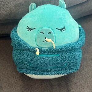 Teal Plush Toy with Hoodie